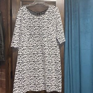 Lane Bryant Leopard Dress size 14/16
